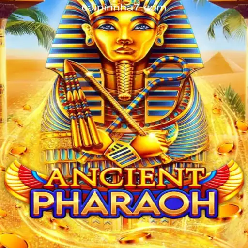 AncientPharaoh: Exploring the Enigmatic Realm of Egyptian Treasures